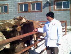 EBK besicileri sevindirdi